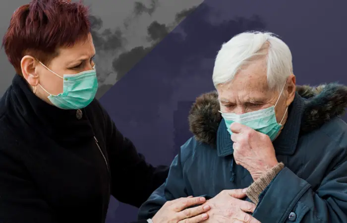 How Air Pollution Impacts the Body