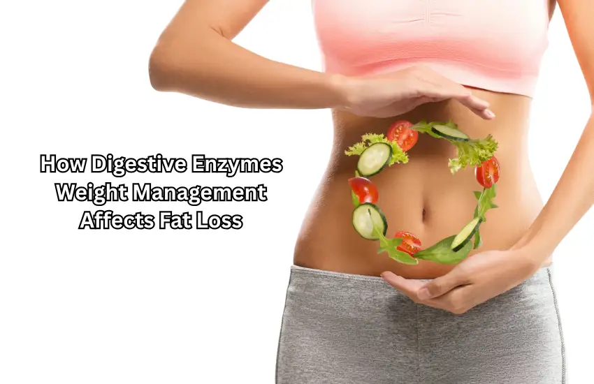 How Digestive Enzymes Weight Management Affects Fat Loss