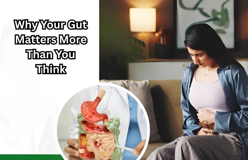 Digestive Health & Fat Loss Why Your Gut Matters More Than You Think