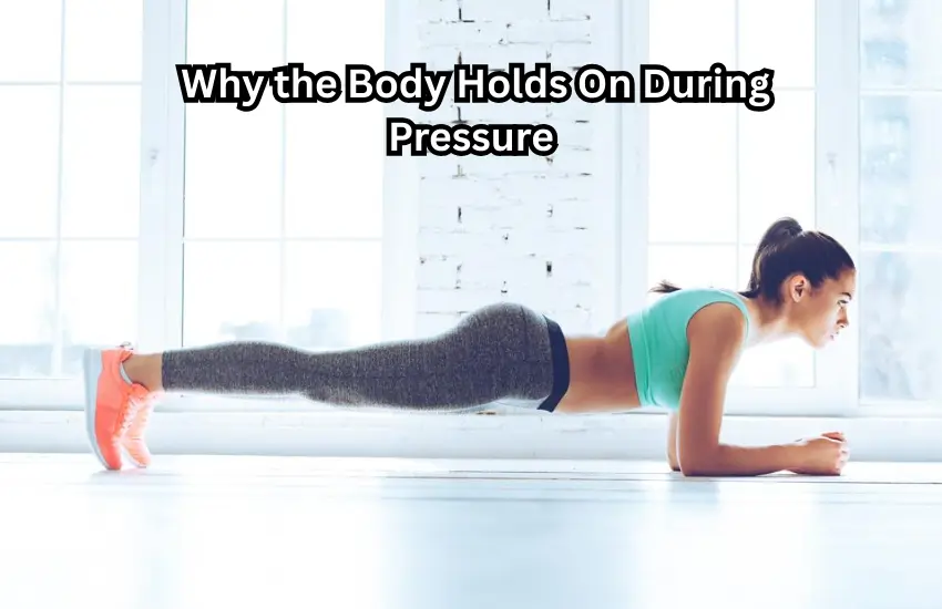 Stress and Fat Storage Explained Why the Body Holds On During Pressure